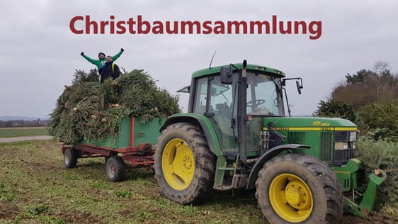 Christbaumsammlung